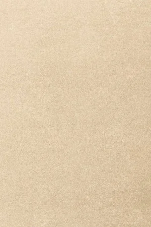 Ковровое покрытие AW Oinone 34 - (5м) в Салавате