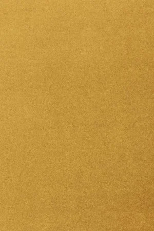 Ковровое покрытие AW Oinone 54 - (5м) в Салавате