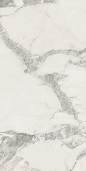 Керамогранит Coliseum Микеланджело Колд 60х120 (Натуральный и Реттифицированный) в Салавате