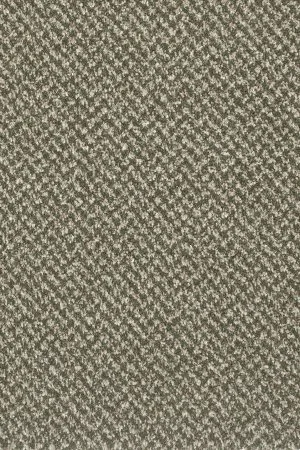 Ковровое покрытие AW Stainaway Tweed 24 - (4м) в Салавате