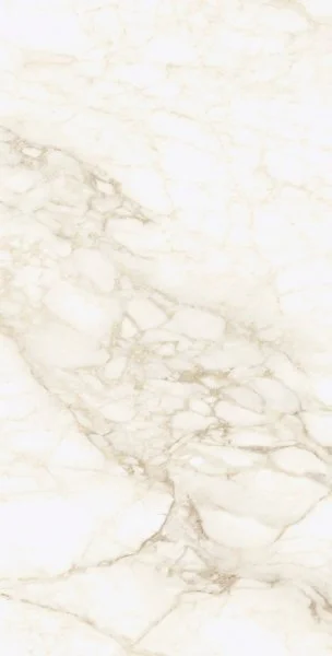 Керамогранит Coliseum Микеланджело Ворм 60х120 (Натуральный и Реттифицированный) в Салавате