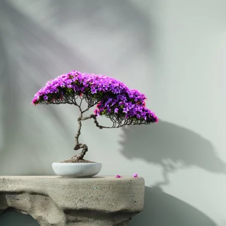 Обои Loymina Lotus LOT1 112 в Салавате