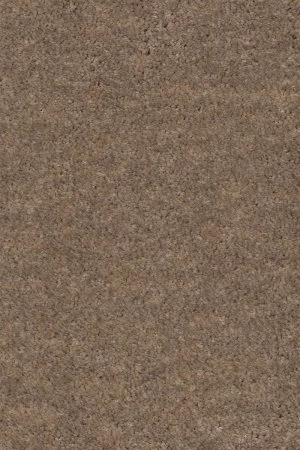 Ковровое покрытие AW Euphoria 36 - (4м) в Салавате