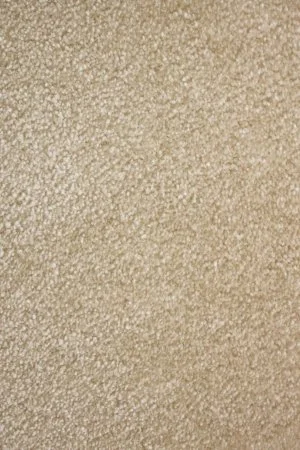 Ковровое покрытие AW Euphoria 33 - (5м) в Салавате