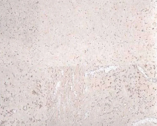 Настенное пробковое покрытие CorkArt PW 386 WS в Салавате