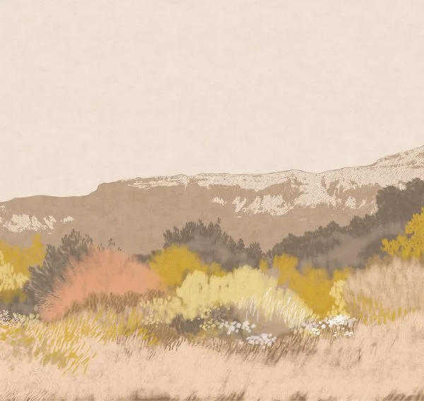 ART17 004 (вблизи)