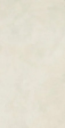 Керамогранит Coliseum Лайфстайл Сноу 60*120 нат и рет. в Салавате