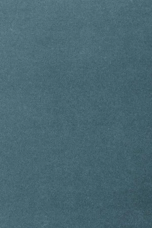 Ковровое покрытие AW Oinone 74 - (4м) в Салавате