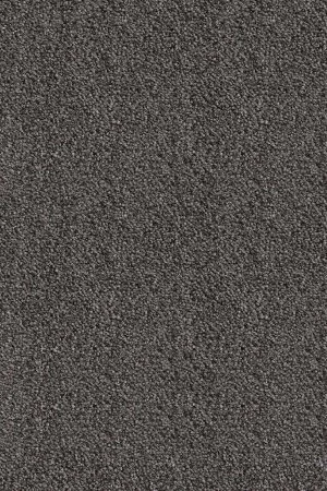 Ковровое покрытие AW Messalina 99 - (5м) в Салавате