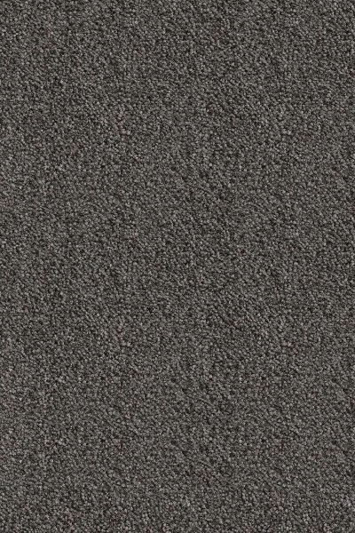 Ковровое покрытие AW Messalina 99 - (5м) в Салавате