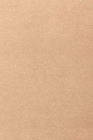 Ковровое покрытие AW Oinone 08 - (4м) в Салавате