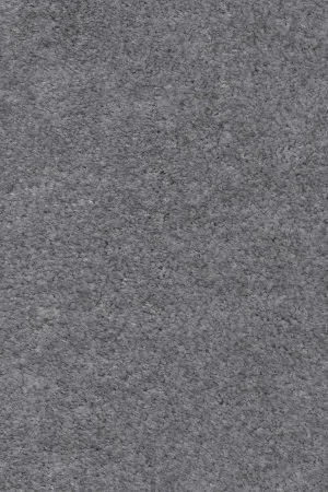 Ковровое покрытие AW Euphoria 95 - (4м) в Салавате