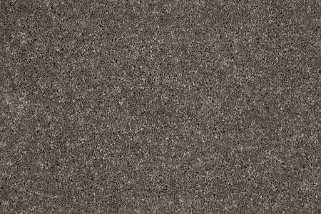 Ковровое покрытие AW Gala 49 - (5м) в Салавате