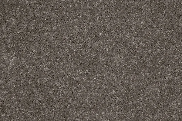 Ковровое покрытие AW Gala 49 - (4м) в Салавате