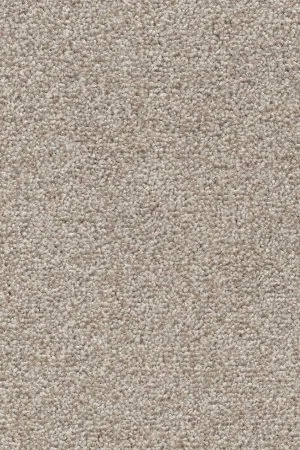 Ковровое покрытие AW Stainguard Harvest 04 - (4м) в Салавате