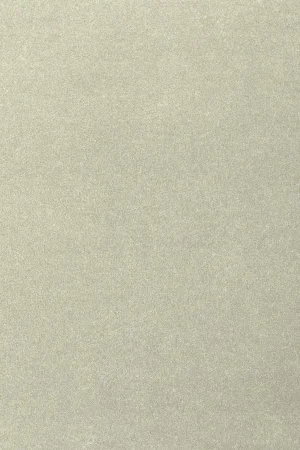 Ковровое покрытие AW Oinone 02 - (4м) в Салавате