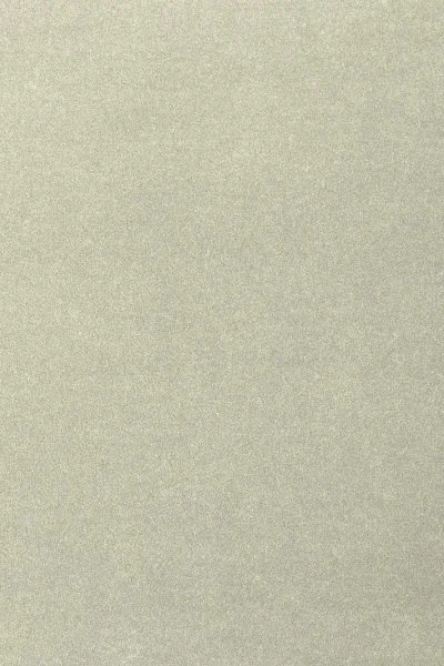 Ковровое покрытие AW Oinone 02 - (4м) в Салавате