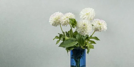 Обои Loymina Shade vol.2 SDR5, 001 в Салавате