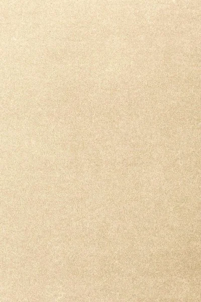 Ковровое покрытие AW Oinone 33 - (4м) в Салавате