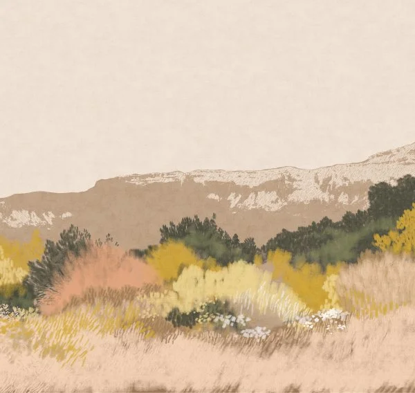 ART17 012 (вблизи)