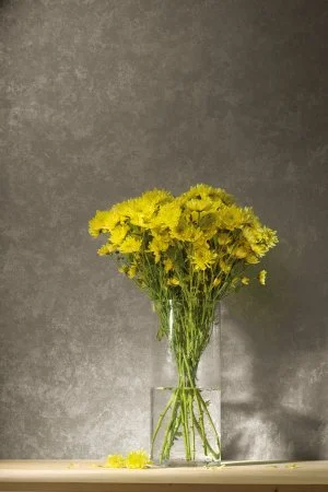 Обои Loymina Golden Library TDG 7, 008 в Салавате