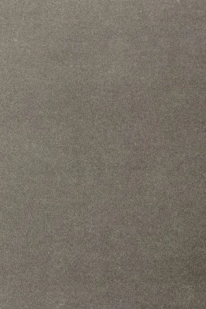 Ковровое покрытие AW Oinone 95 - (5м) в Салавате