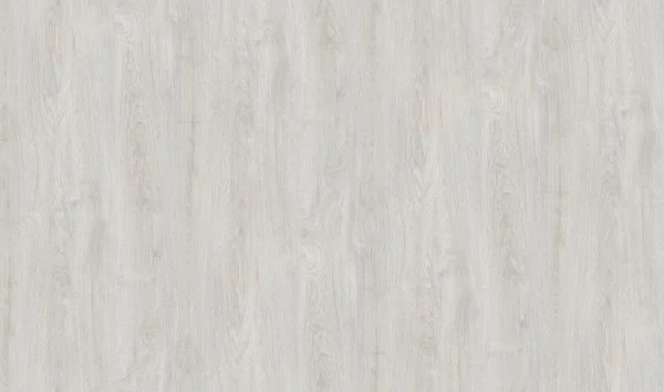 7054 Дуб Моелла