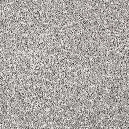 Ковровое покрытие AW Kiama 97 - (5м) в Салавате