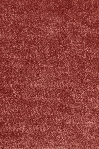 Ковровое покрытие AW Omphale 10 - (5м) в Салавате