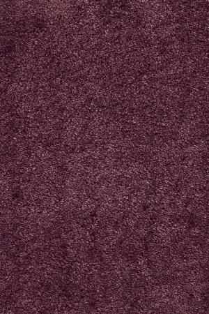 Ковровое покрытие AW Fedone 19 - (5м) в Салавате