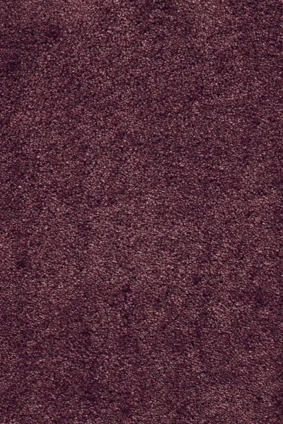 Ковровое покрытие AW Fedone 19 - (5м) в Салавате