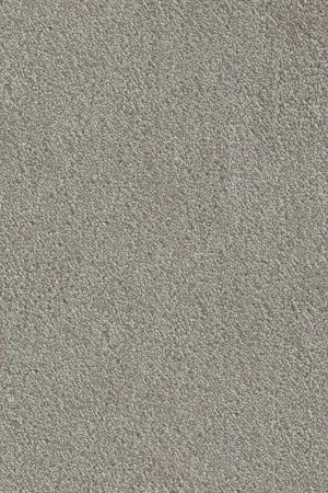 Ковровое покрытие AW Messalina 9 - (5м) в Салавате