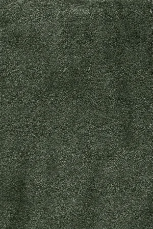 Ковровое покрытие AW Fedone 24 - (5м) в Салавате