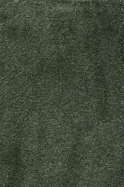 Ковровое покрытие AW Fedone 24 - (5м) в Салавате