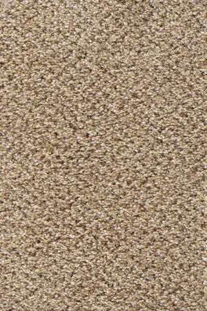 Ковровое покрытие AW Stainaway Tweed 50 - (4м) в Салавате