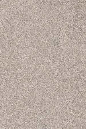 Ковровое покрытие AW Messalina 37 - (5м) в Салавате