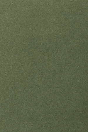 Ковровое покрытие AW Oinone 24 - (4м) в Салавате