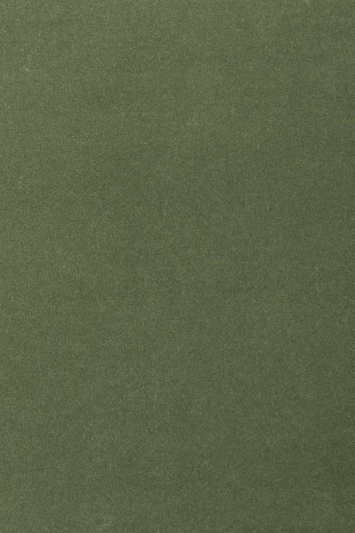 Ковровое покрытие AW Oinone 24 - (4м) в Салавате