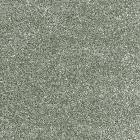 Ковровое покрытие AW Euphoria 28 - (5м) в Салавате