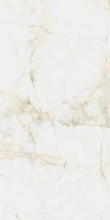 Керамогранит Coliseum Канова Уайт 60х120 (Натуральный и Реттифицированный) в Салавате