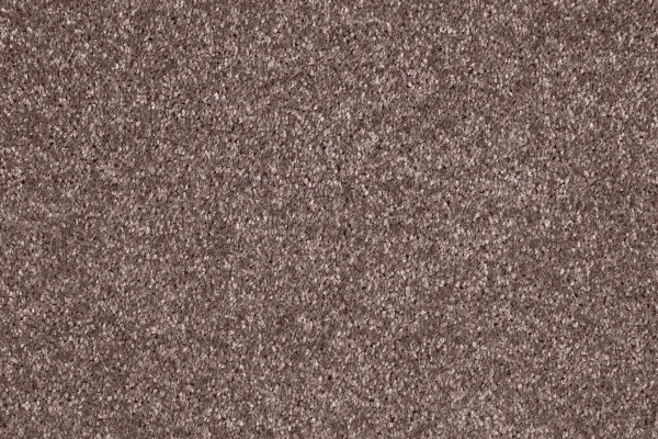 Ковровое покрытие AW Gala 60 - (5м) в Салавате