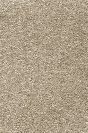 Ковровое покрытие AW Omnia 33 - (3м) в Салавате