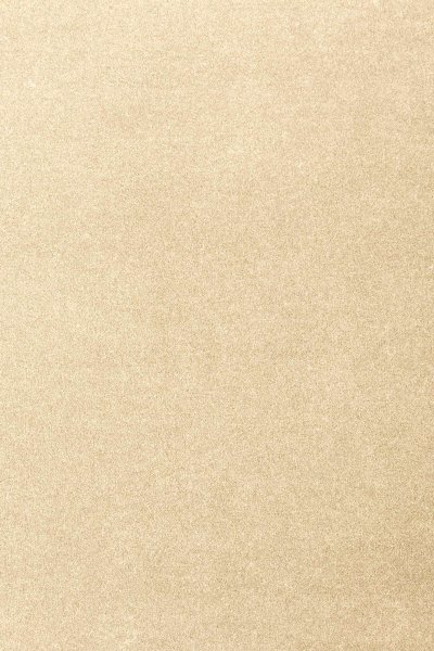 Ковровое покрытие AW Oinone 33 - (4м) в #REGION_NAME_DECLINE_PP#