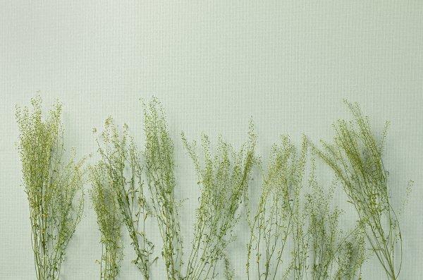 SDR4_005-1_OH9A1718+++